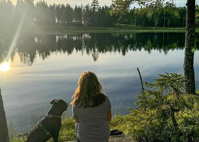 Awesome In Ljordalen With Sauna Vakantiehuis