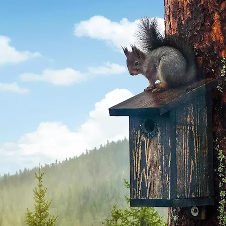 Awesome In With Sauna * Ljordalen